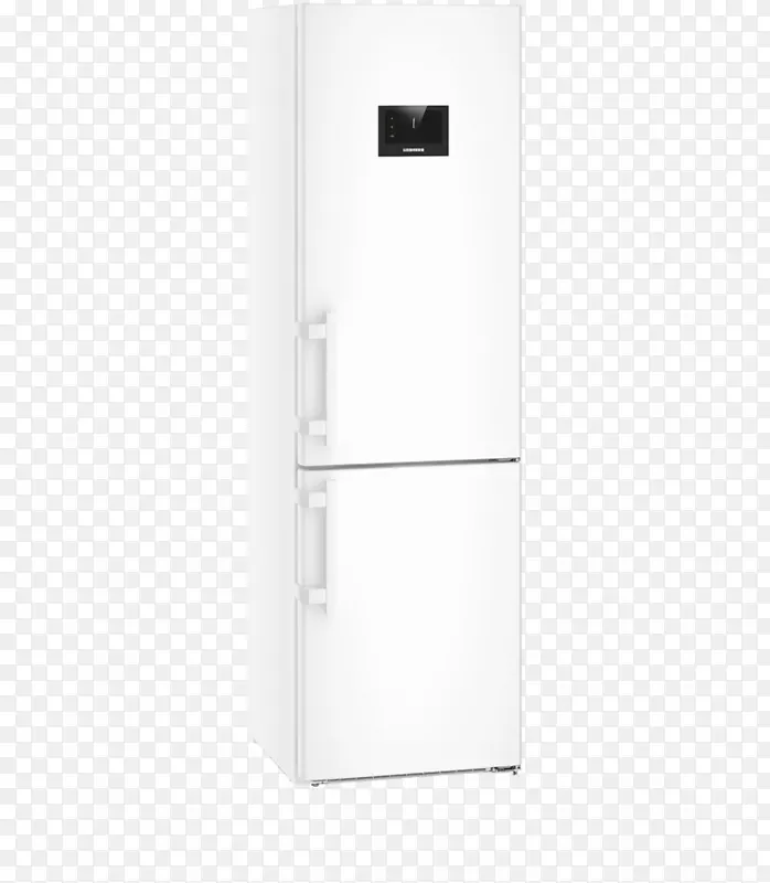 冰箱b-lg gbb 59 swfzb kühlschrankühschrankühlschrande-解冻冰箱-冰箱