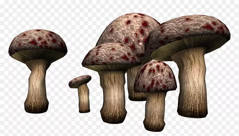 毒蘑菇剪贴画-蘑菇