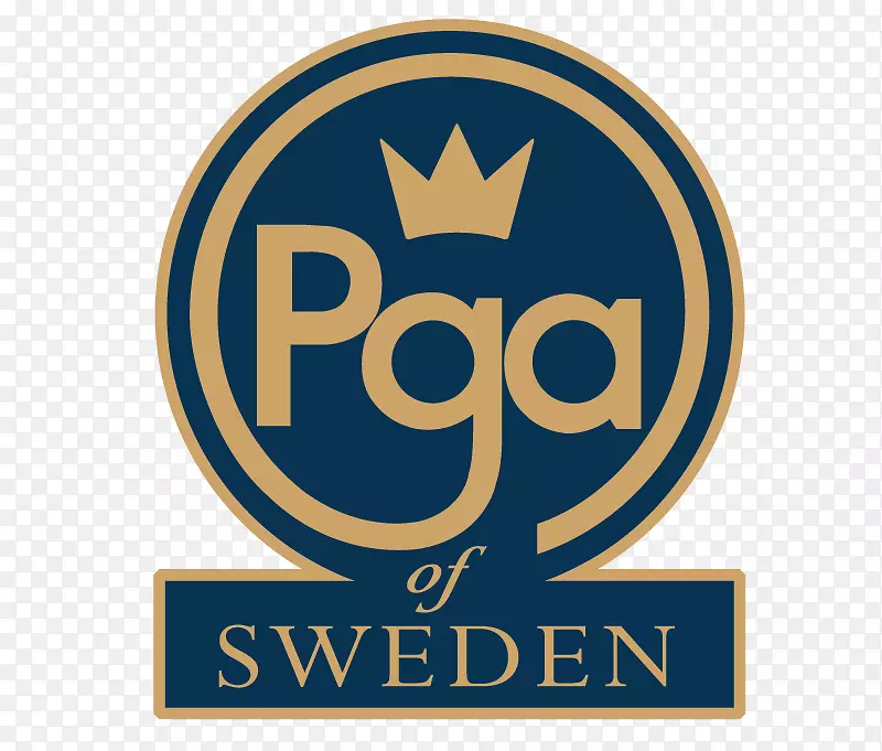 PGA巡演瑞典职业高尔夫球手协会LPGA-高尔夫