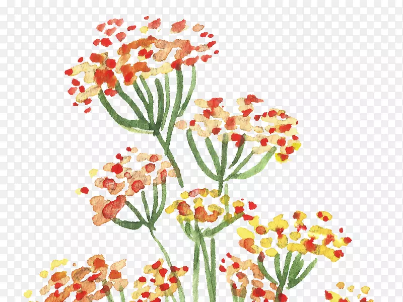 花卉设计水彩画