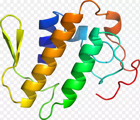 艺术剪贴画的有机体作品-磷脂酶a2