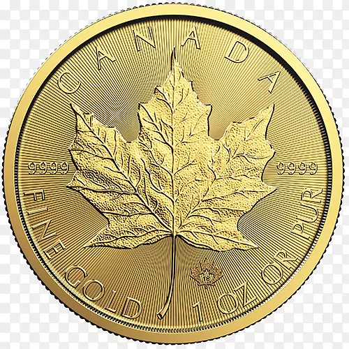 加拿大金枫叶金币美元硬币-加拿大