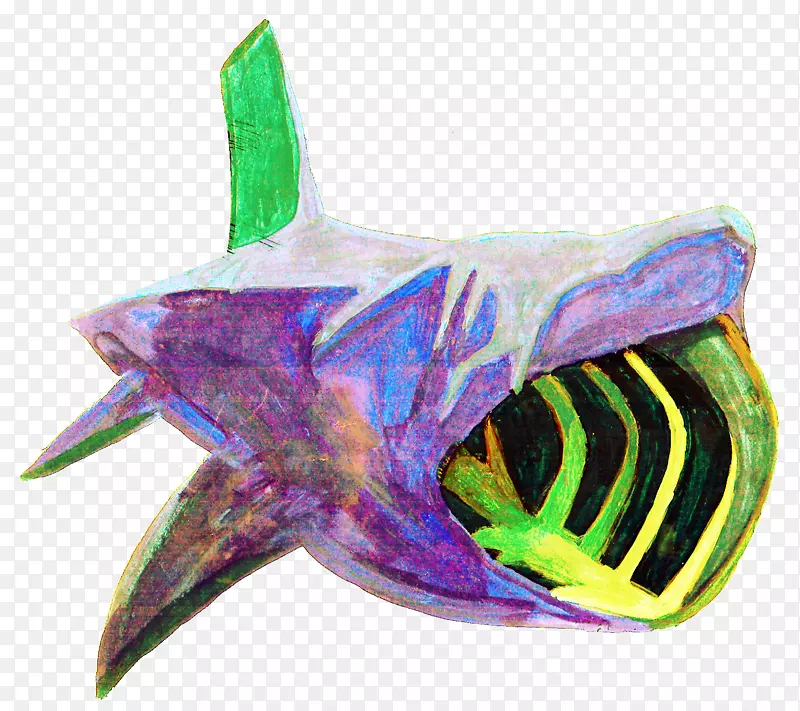海洋生物鱼-晒黑鲨鱼大小