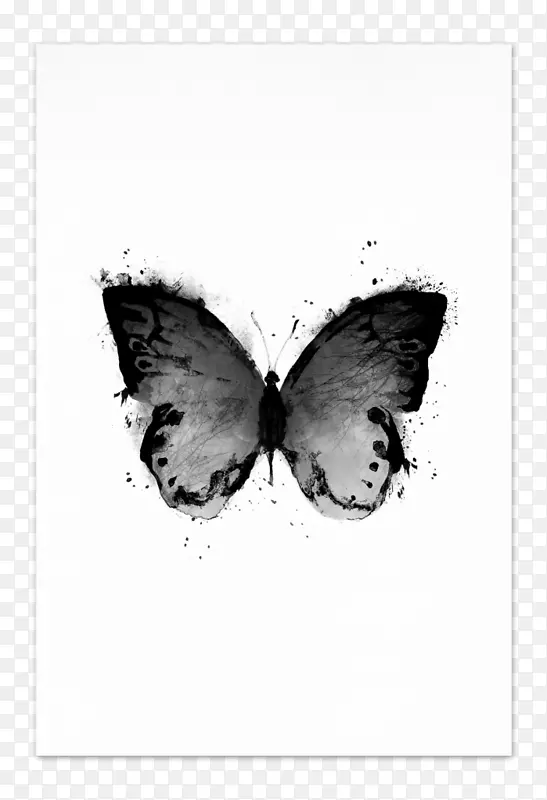 黑光海报蝴蝶艺术-蝴蝶