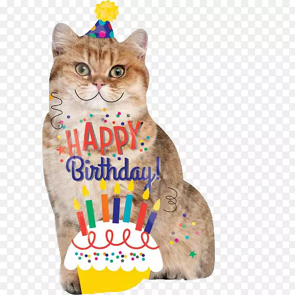 猫生日蛋糕气球猫