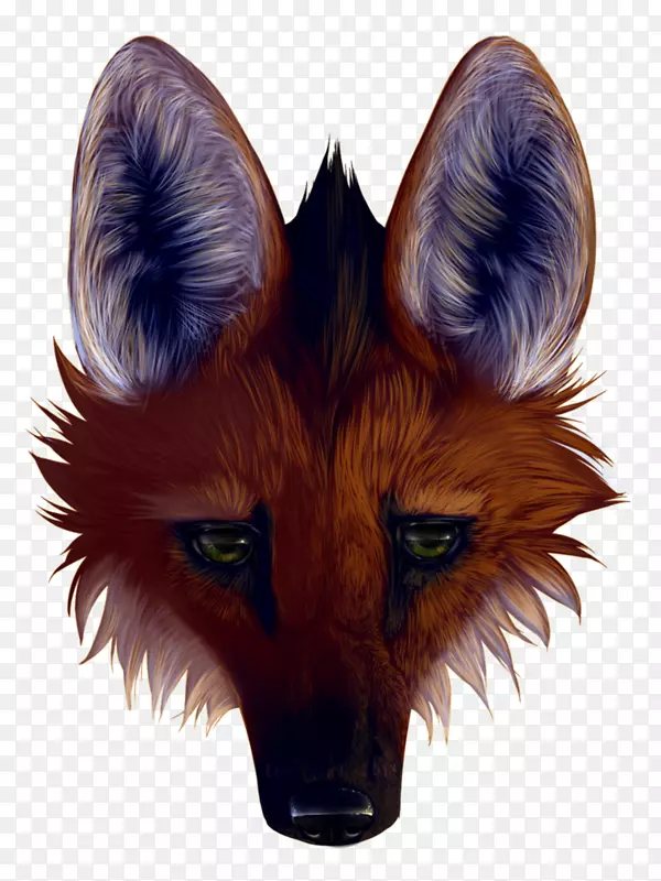 红狐，灰狼，潘瑟拉画的狐狸