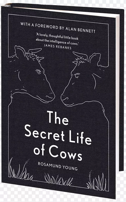 奶牛的秘密生活书Amazon.com农场主书