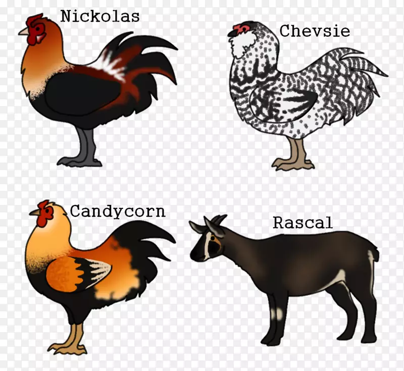 鸡动物群、喙鸡作为食物-Ardagh囤积物