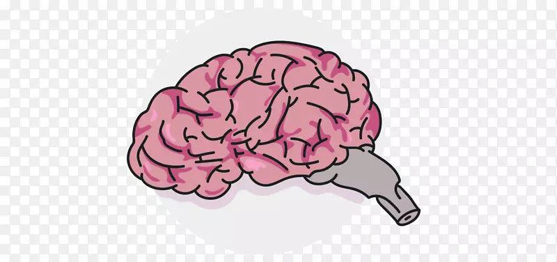 脑粉红m神经学-脑