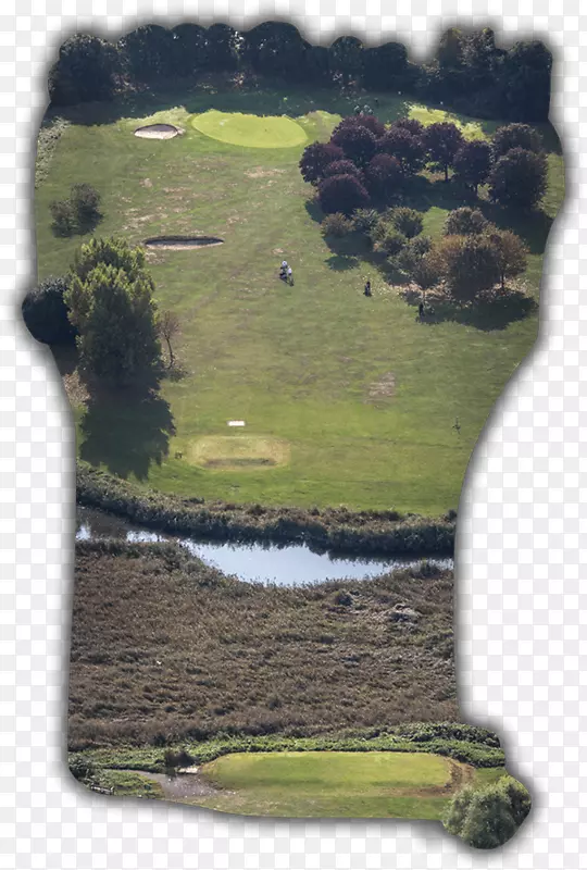 水资源高尔夫俱乐部草坪高尔夫