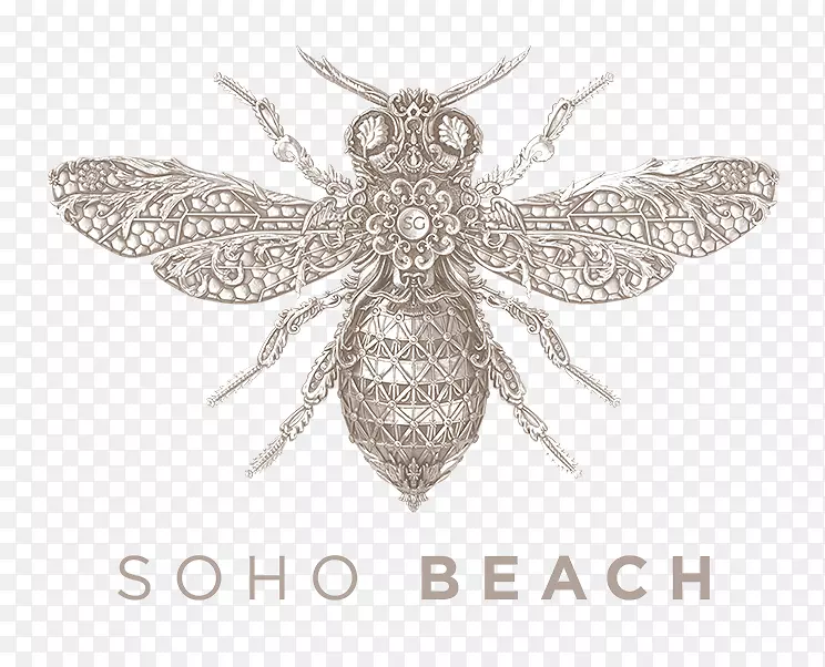 SOHO花园DXB SOHO海滩DXB蚂蚁2018年夜总会-海滩