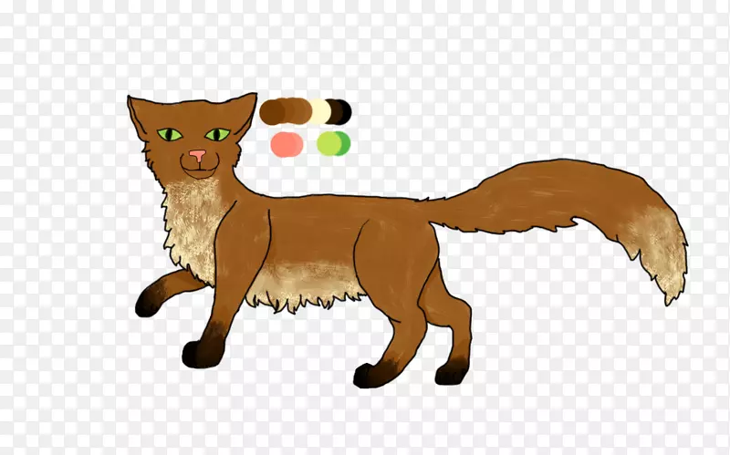 胡须红狐猫毛皮动物-猫
