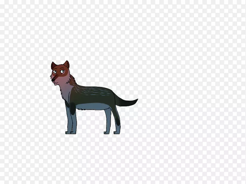 胡须猫红狐动物野生动物-猫