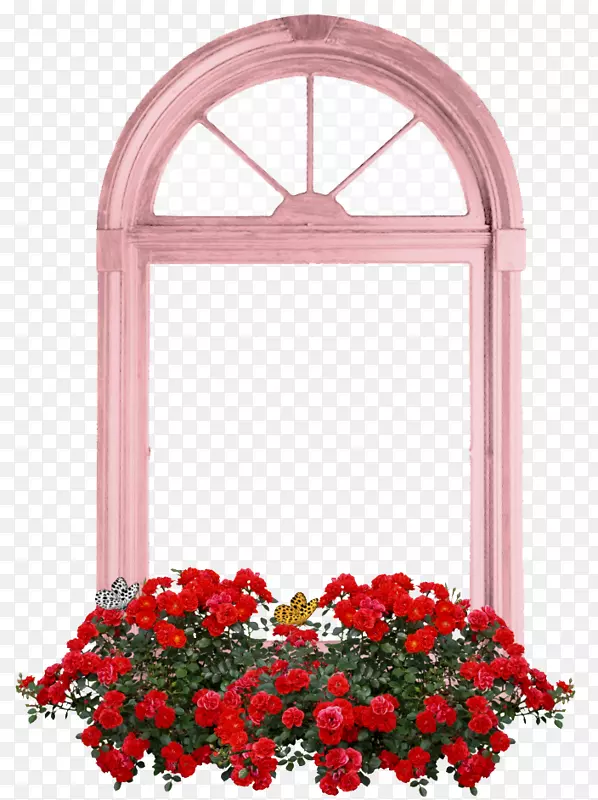 花卉设计窗剪花园玫瑰-丹·汉弗莱