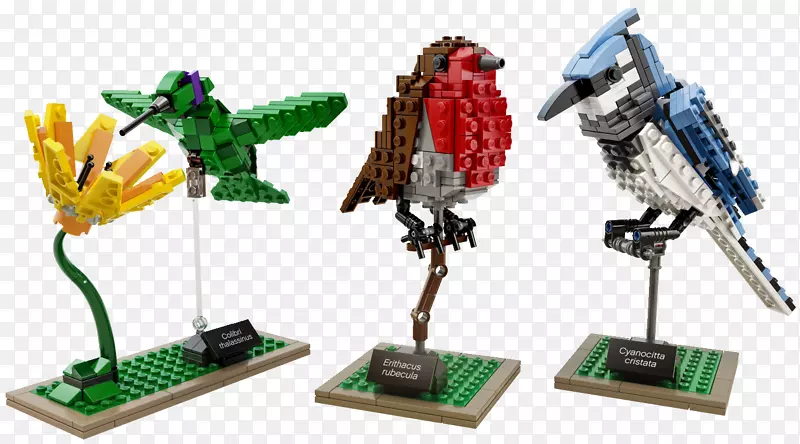 乐高鸟：Les Briques s‘envolent Lego Ideas Amazon.com蜂鸟鸟
