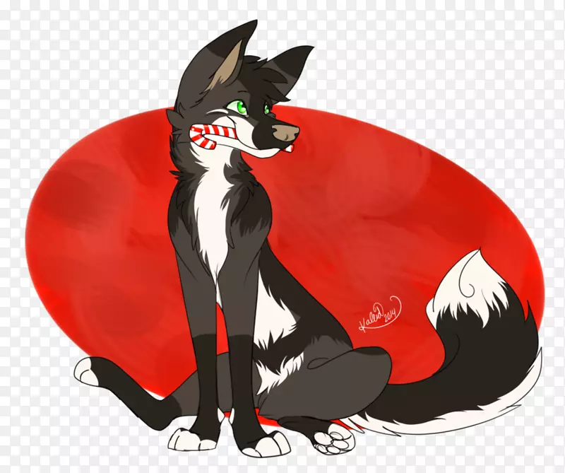 胡须狗猫狗