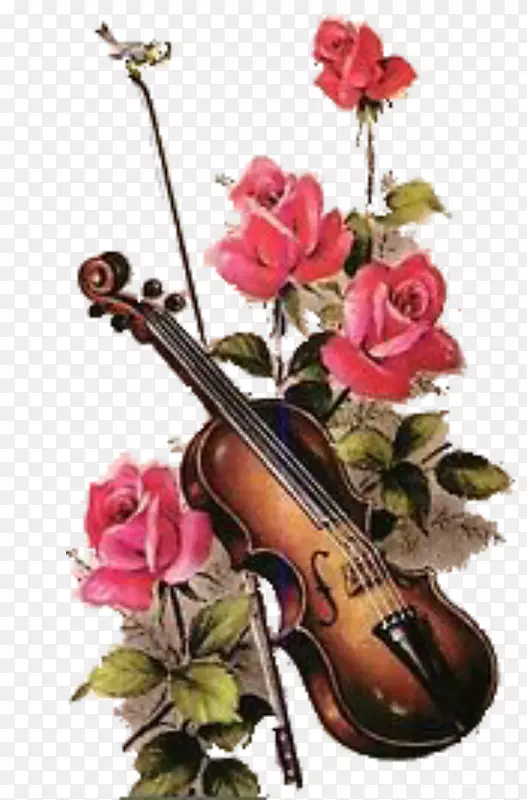 小提琴花艺设计，大提琴绘画，免费小提琴
