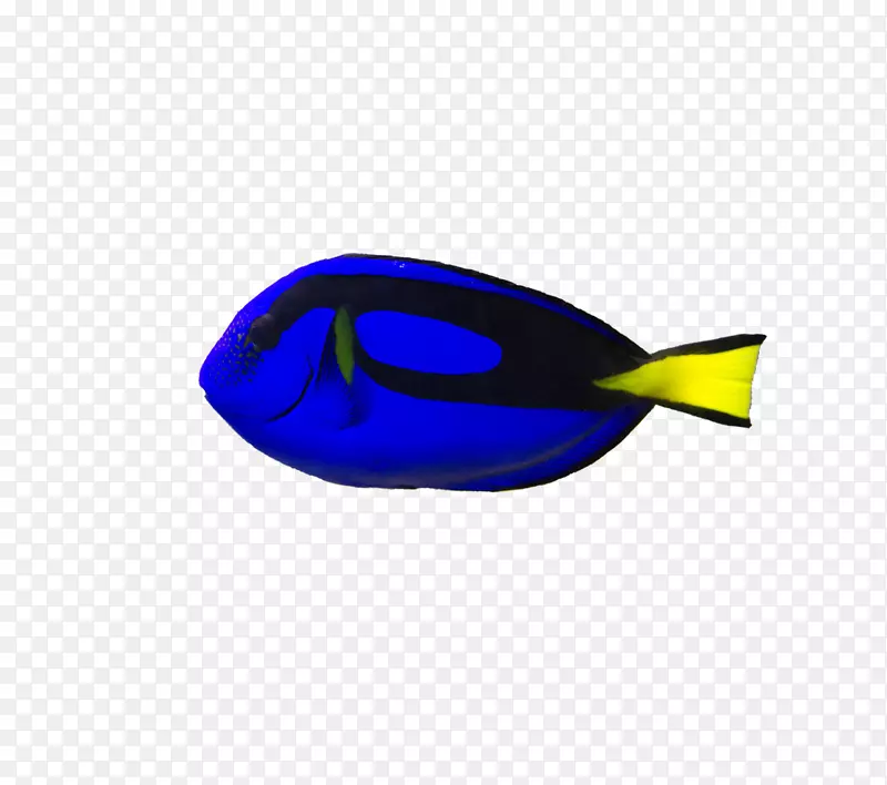 褐塘蓝塘鱼礁水族馆护目镜-汤鱼