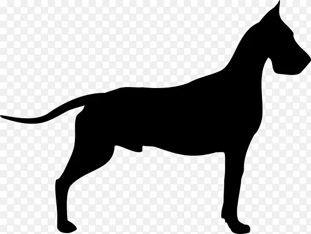 伟大的丹麦狗，波尔多，丹麦老指针，贵宾犬，剪贴画-狗号
