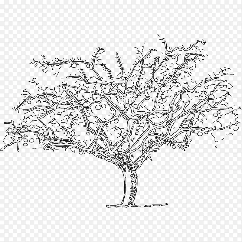 纳克斯·德洛斯艺术画家绘画-树木轴测