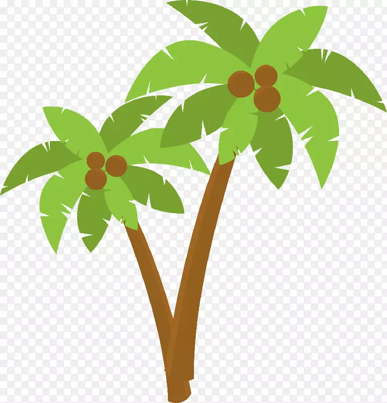 槟榔科椰子剪辑艺术-椰子