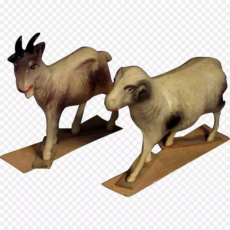 羊、牛、角动物-绵羊