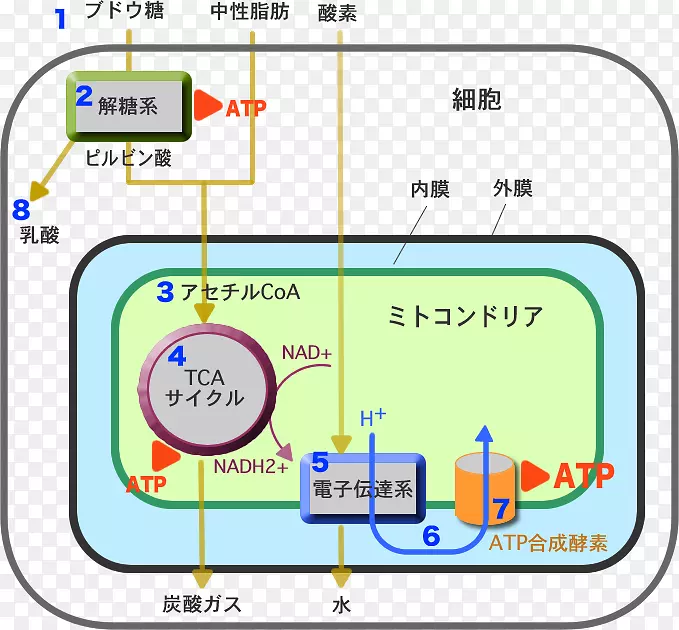 线材料点能量体