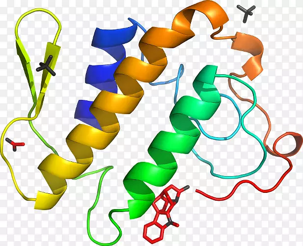 生物艺术同源性剪贴画磷脂酶a2