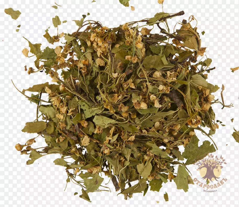 马沙拉茶草本植物乌龙茶ōJicha-茶