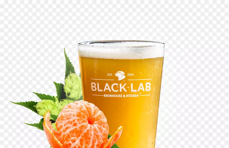 啤酒黑实验室酿酒厂和厨房橙汁饮料金发啤酒食品-啤酒