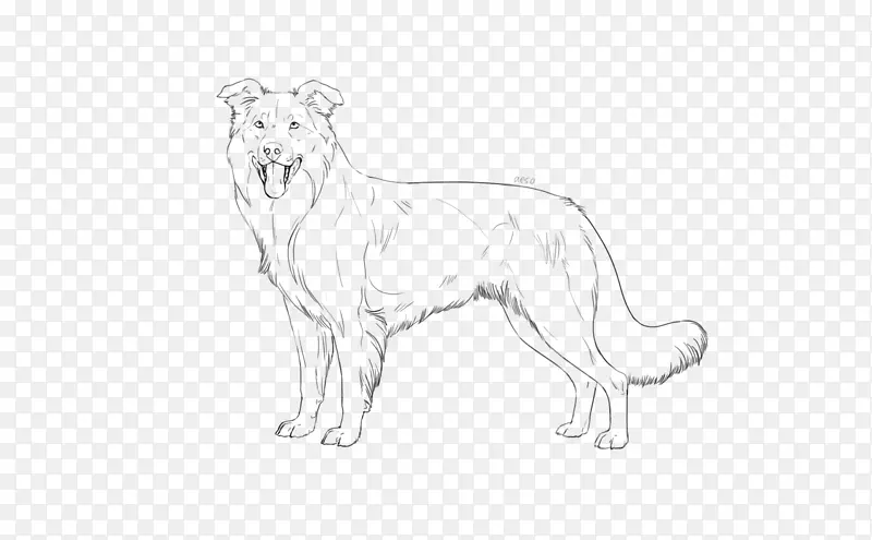 狮子狗繁殖猫须-狮子