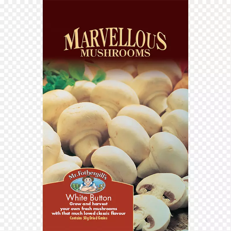 普通蘑菇食用菌成分真菌蘑菇