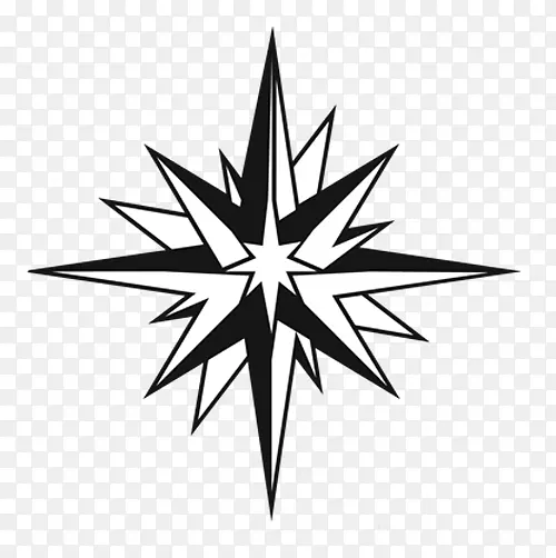 北极星产业明星标志北极星RZR-北极星标志