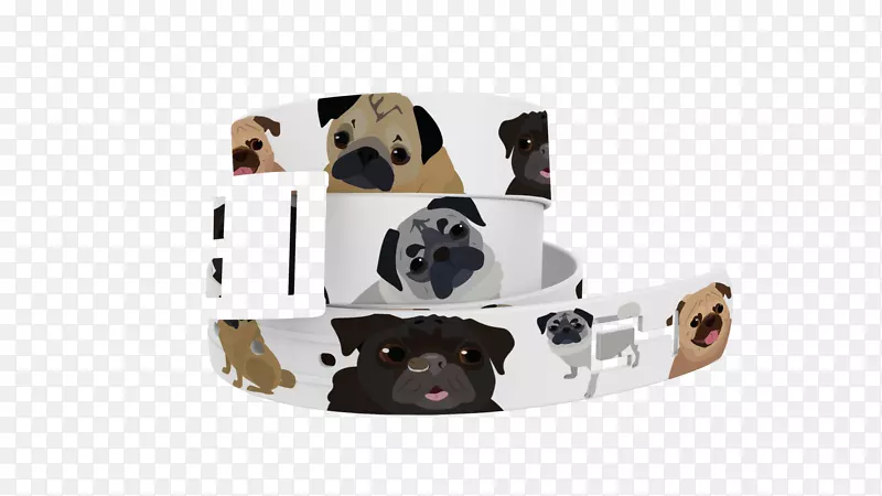 犬种犬项圈设计