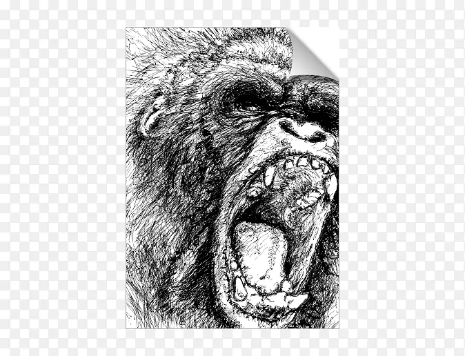 西方大猩猩黑猩猩灵长类绘画-猴子