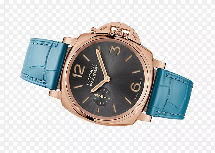 手表表带Panerai品牌手表