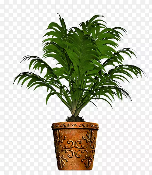 草本植物剪贴画