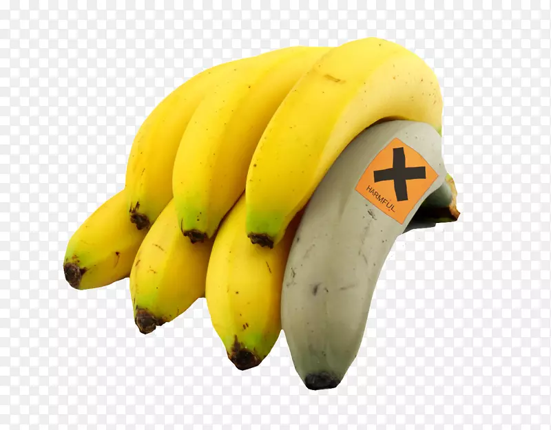 香蕉果柠檬苹果桑椹香蕉