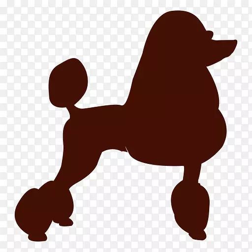 小型贵宾犬玩具贵宾犬标准贵宾犬-小狗