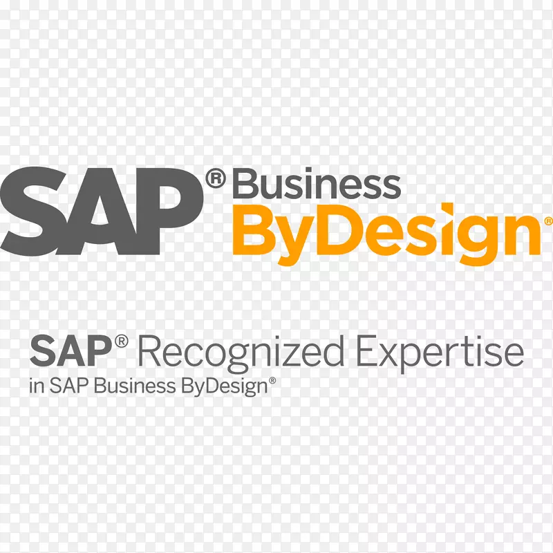SAP业务设计sap业务一个企业资源规划sap se-业务