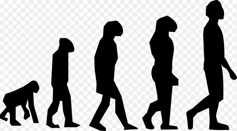 人类进行曲人类进化剪贴画-查尔斯·巴贝奇图像HD
