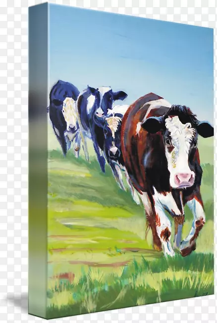奶牛、荷斯坦牛、弗里西亚牛、安格斯牛、牛磺酸牛、婚礼邀请函-水彩画母牛