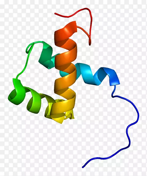 ZEB 1同源盒锌指转录因子蛋白