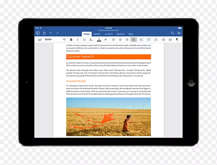 微软Excel微软Word微软办公室微软PowerPoint-微软