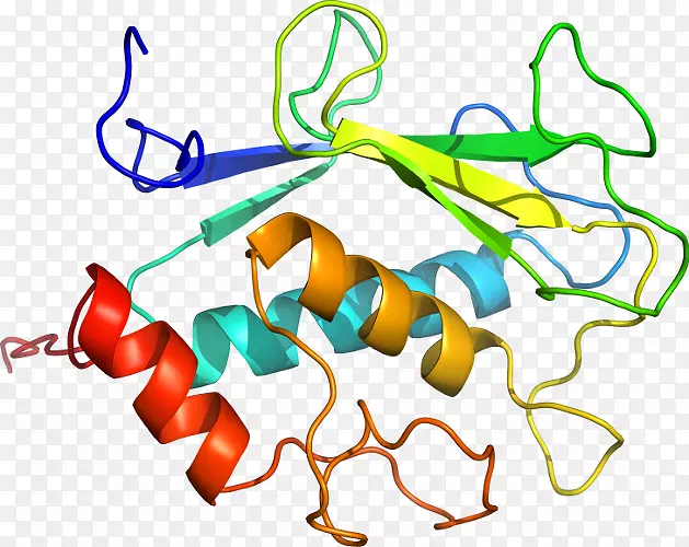 线点生物剪贴画线