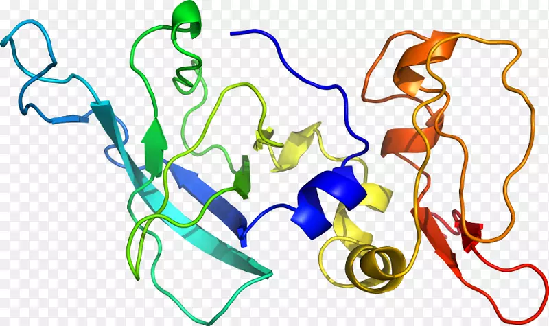 线点生物剪贴画线