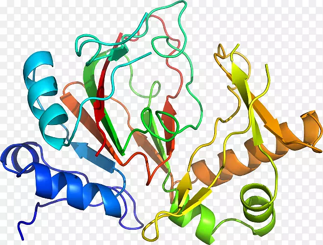 生物人类行为线点剪贴画线