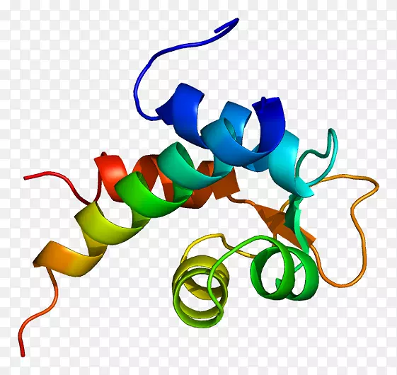 放线菌素α2蛋白层粘连蛋白