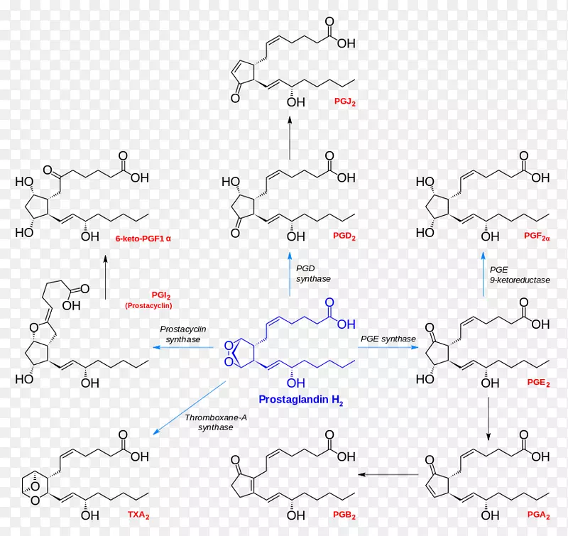 类前列腺素H2化学合成前列环素