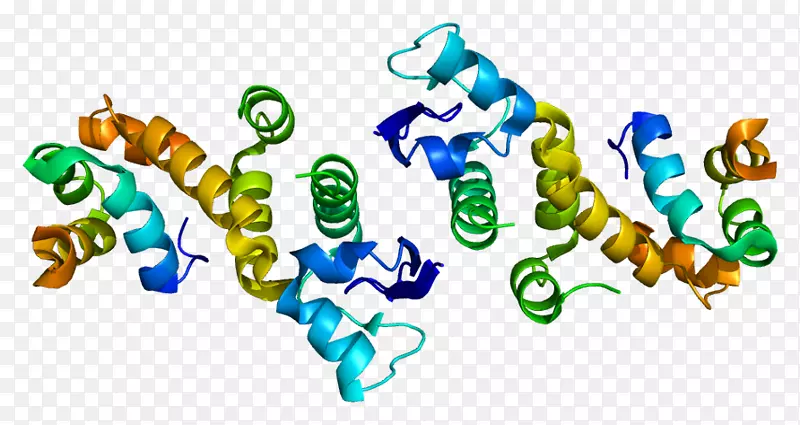 sskp1a智人p-糖蛋白酶-酶